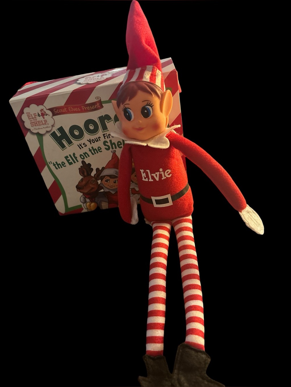 Elf on the shelf doll and books.